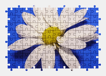 Jigsaw puzzle online white,daisy,flower,nature,plant,colorful