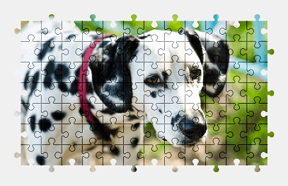 Jigsaw puzzle online dalmatian,dog,animal,colorful