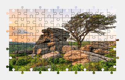 Jigsaw puzzle online england,nature,colorful,tree