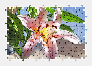 Jigsaw puzzle online daylily,flower,colorful,nature