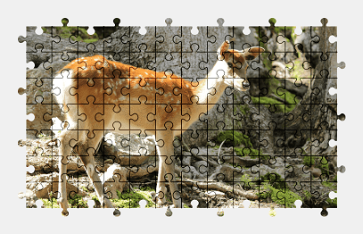 Jigsaw puzzle online deer,animal,nature