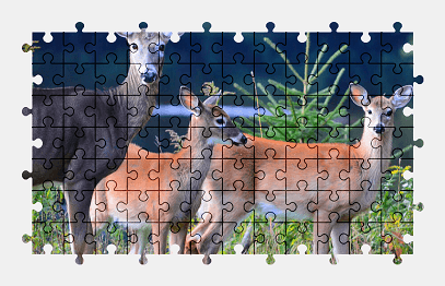 Jigsaw puzzle online deer,animal,wild