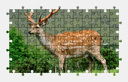 Jigsaw puzzle online deer,animal,nature,colorful