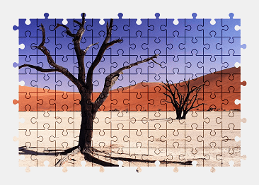 Jigsaw puzzle online africa,namibia,sand,desert,nature,tree,colorful