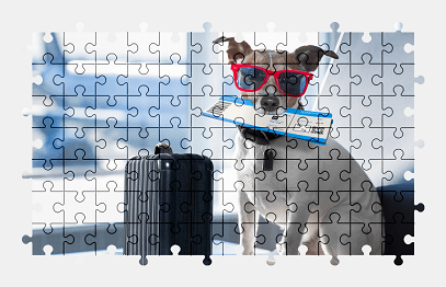 Jigsaw puzzle online jack-russell-terrier,dog,animal,travel,funny,colorful