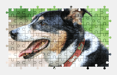 Jigsaw puzzle online dog,animal,pet