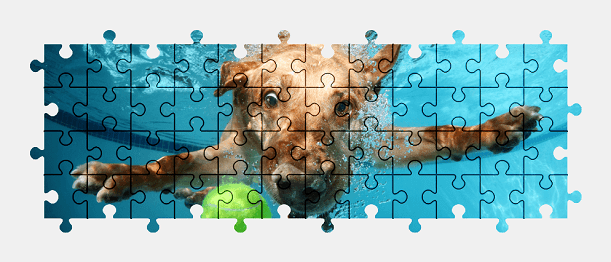 Jigsaw puzzle online dog,underwater,animal,colorful