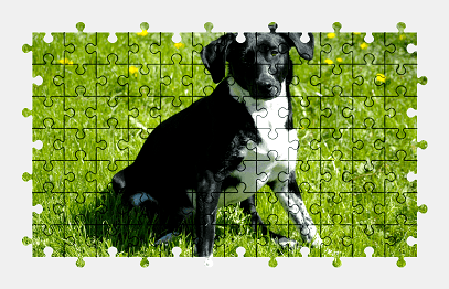 Jigsaw puzzle online dog,animal,colorful