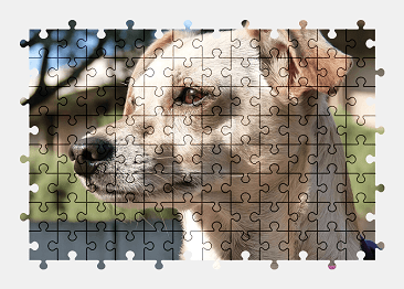 Jigsaw puzzle online dog,pet,animal