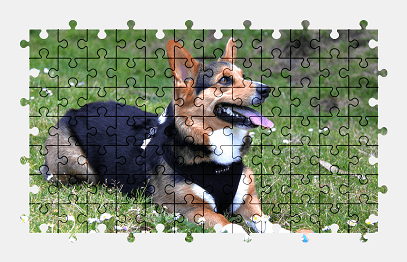Jigsaw puzzle online welsh-corgi,dog,animal,pet,colorful