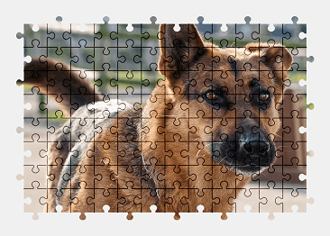 Jigsaw puzzle online german-shepherd,dog,animal,colorful