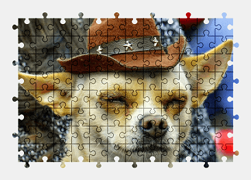 Jigsaw puzzle online chihuahua,dog,animal,hat,adorable,funny,pet,colorful