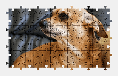 Jigsaw puzzle online dog,chihuahua,animal,pet