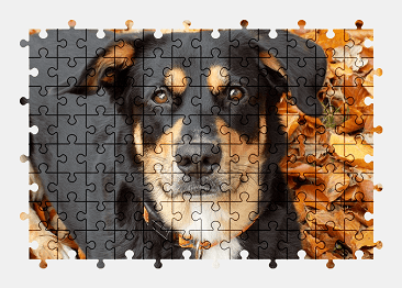 Jigsaw puzzle online dog,animal,pet,autumn,leaves,colorful