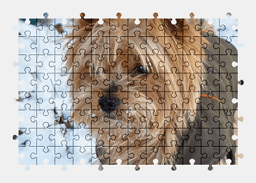 Jigsaw puzzle online dog,animal,pet,snow,winter