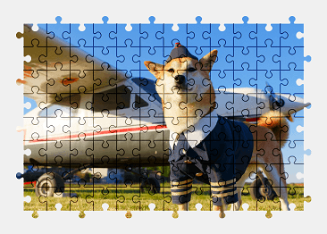 Jigsaw puzzle online dog,funny,plane,aircraft,colorful,animal