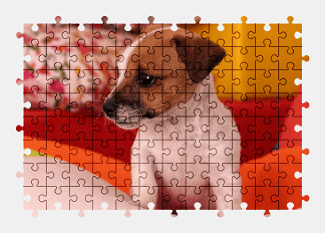 Jigsaw puzzle online jack-russell-terrier,puppy,dog,animal,cute,colorful