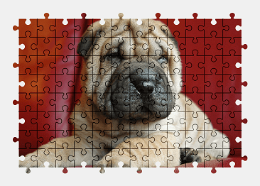 Jigsaw puzzle online dog,animal,pet