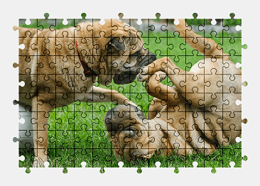 Jigsaw puzzle online dog,play,animal,pet
