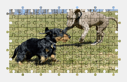 Jigsaw puzzle online dog,animal