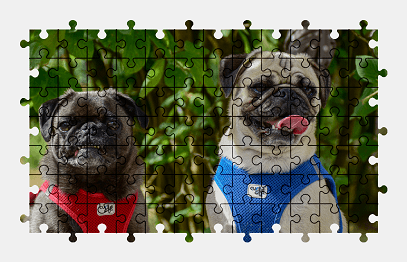 Jigsaw puzzle online dog,animal,colorful,pet