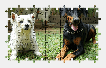 Jigsaw puzzle online dog,animal,colorful