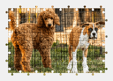 Jigsaw puzzle online dog,animal,colorful