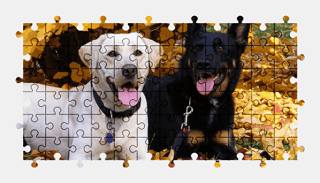 Jigsaw puzzle online dog,animal,autumn,colorful