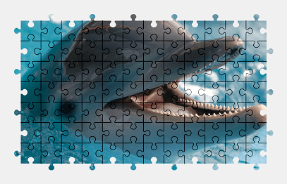 Jigsaw puzzle online animal,colorful,dolphin