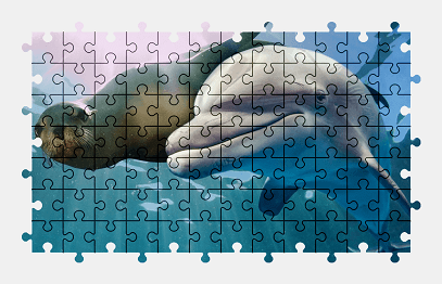 Jigsaw puzzle online dolphin,animal,underwater,nature,colorful