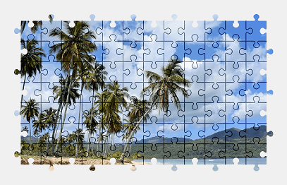 Jigsaw puzzle online beach,palm-tree,sea,ocean,nature