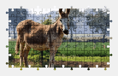 Jigsaw puzzle online donkey,animal,farm,colorful