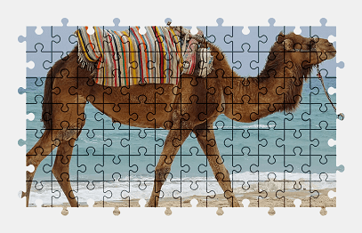 Jigsaw puzzle online animal,tourism,beach,camel