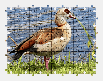Jigsaw puzzle online bird,animal,goose,colorful,water