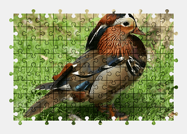 Jigsaw puzzle online duck,bird,animal,nature