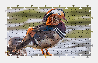 Jigsaw puzzle online mandarin,duck,bird,animal,nature,colorful