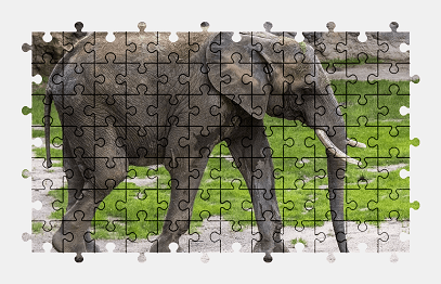 Jigsaw puzzle online elephant,animal,zoo