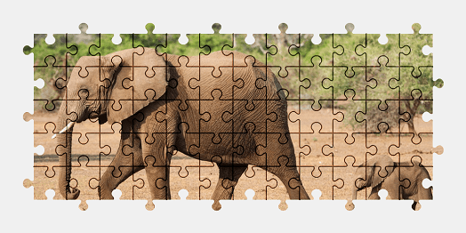 Jigsaw puzzle online elephant,animal,nature,colorful