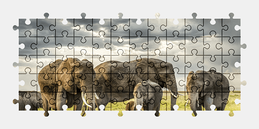 Jigsaw puzzle online elephant,nature,colorful,animal