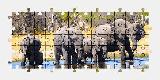 Jigsaw puzzle online elephant,animal,nature,colorful