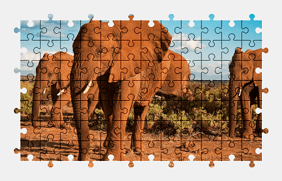 Jigsaw puzzle online african,elephant,animal,nature,colorful