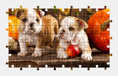 Jigsaw puzzle online bulldog,dog,animal,puppy,colorful