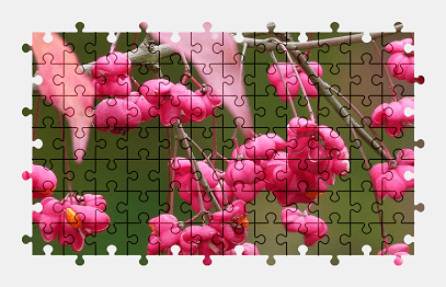 Jigsaw puzzle online pink,flower,plant,nature