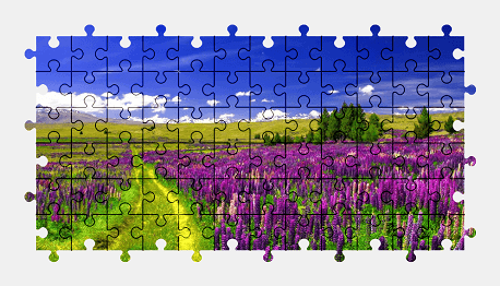 Jigsaw puzzle online field,flower,landscape,colorful,nature