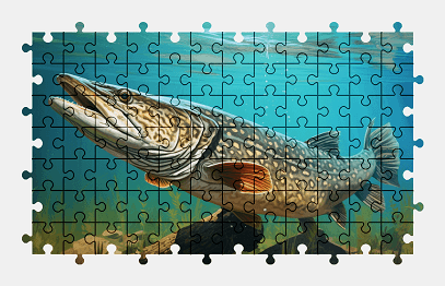 Jigsaw puzzle online fish,animal,underwater