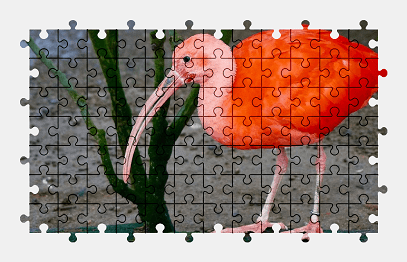 Jigsaw puzzle online pink,red,bird,animal,nature,colorful