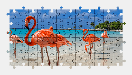 Jigsaw puzzle online flamingo,bird,animal,colorful