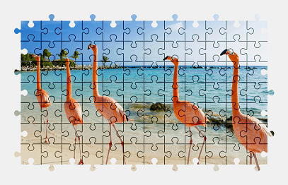 Jigsaw puzzle online flamingo,bird,animal,beach,colorful,nature