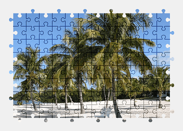 Jigsaw puzzle online florida,usa,beach,travel,palm-tree,nature