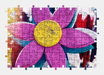 Jigsaw puzzle online colorful,flower,color